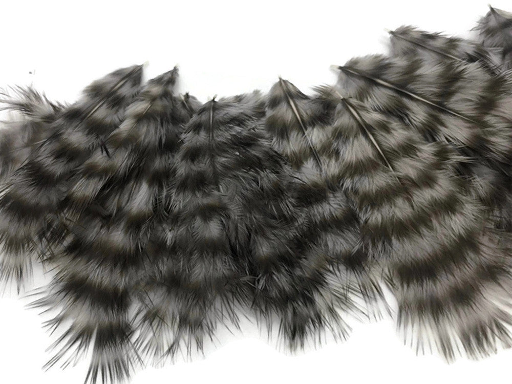 1 Dozen - Grey Dun Grizzly Mini Rooster Chickabou Fluff Whiting Hair Feathers