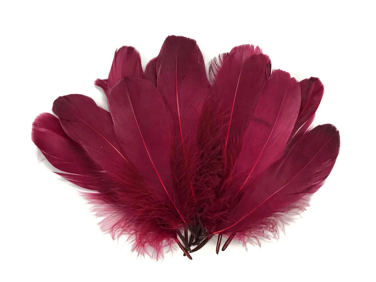 1 Pack - Claret Goose Nagoire Loose Feather - 0.25 Oz