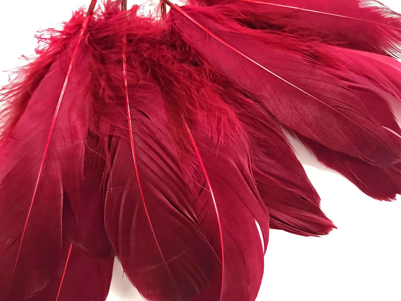 1 Pack - Claret Goose Nagoire Loose Feather - 0.25 Oz