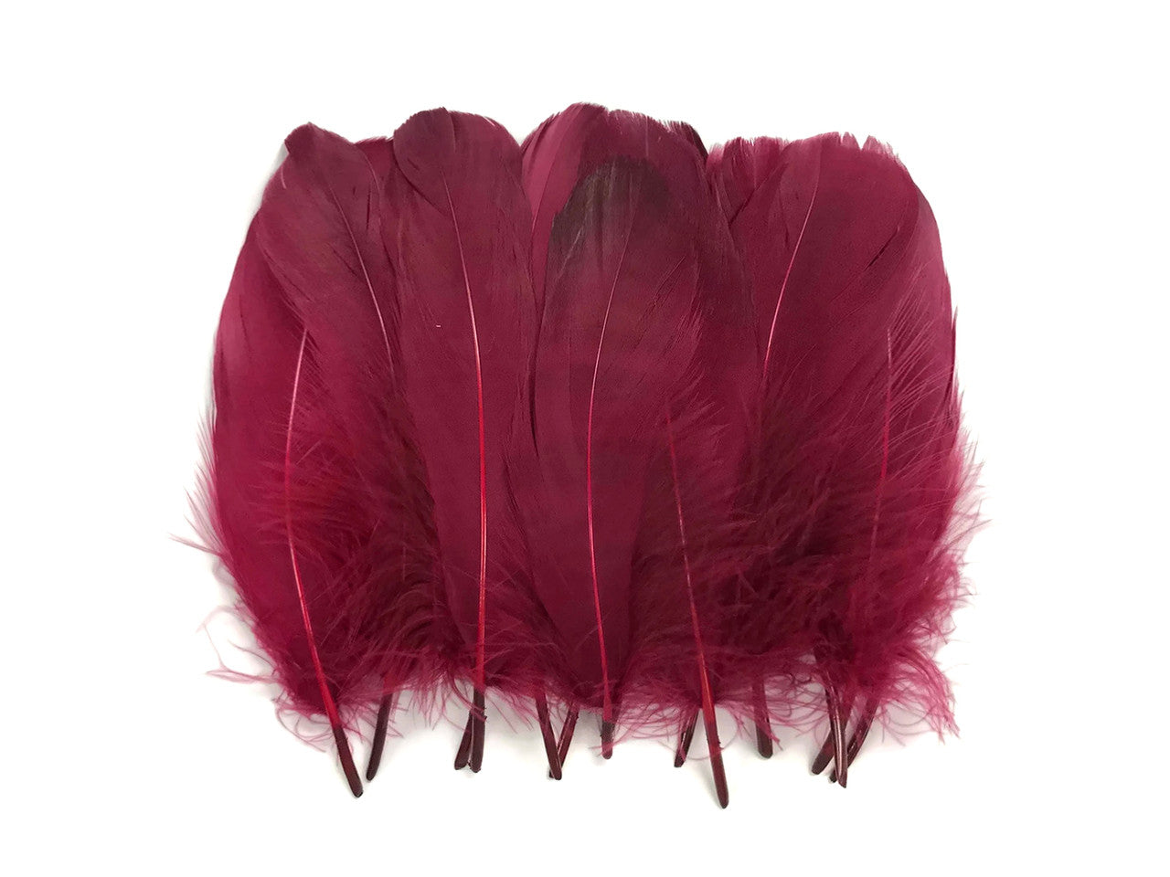 1 Pack - Claret Goose Nagoire Loose Feather - 0.25 Oz