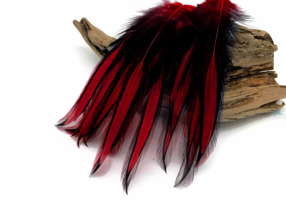 10 Pieces - Claret Dyed BLW Laced Long Rooster Cape Whiting Farms Feathers