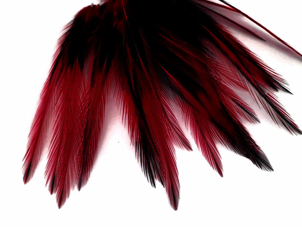 10 Pieces - Claret Dyed BLW Laced Short Rooster Cape Whiting Farms Feathers