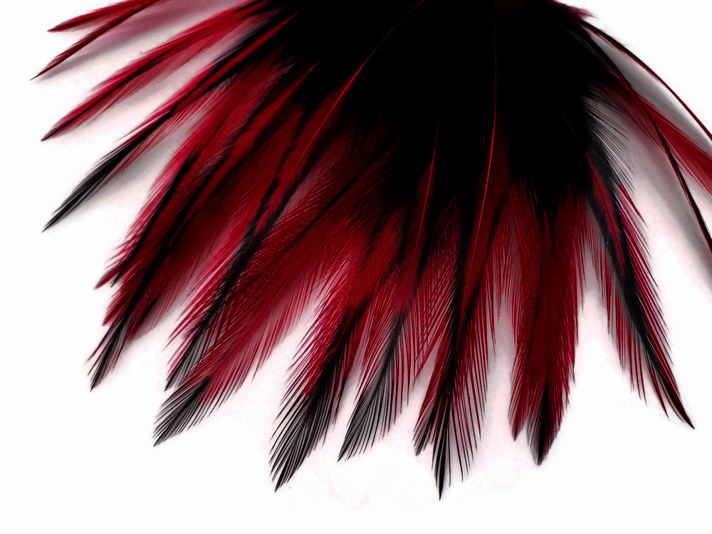 10 Pieces - Claret Dyed BLW Laced Short Rooster Cape Whiting Farms Feathers