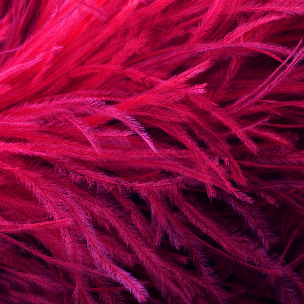 1/2 Lb - 17-19" Burgundy Ostrich Large Drab Wholesale Feathers (Bulk)