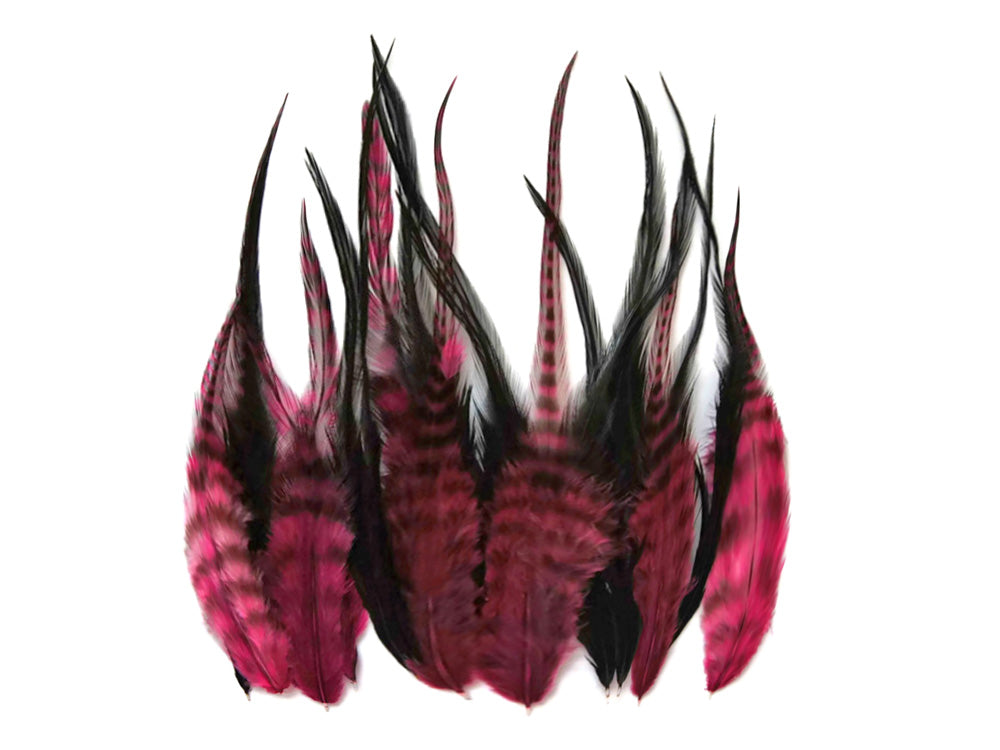 2 Dozen - Short Claret & Black Grizzly Whiting Farms Rooster Hair Extension Feathers