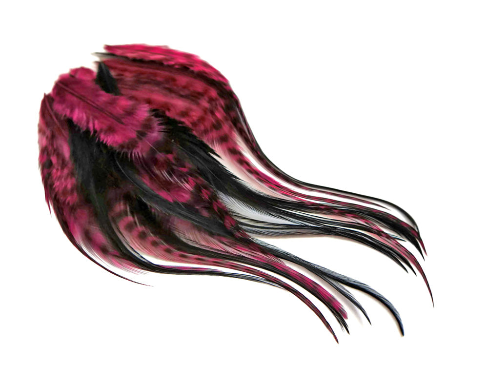 2 Dozen - Short Claret & Black Grizzly Whiting Farms Rooster Hair Extension Feathers