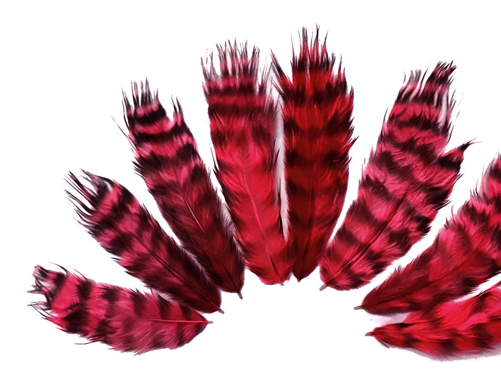 1 Dozen - Claret Grizzly Grizzly Mini Rooster Chickabou Fluff Whiting Hair Feathers