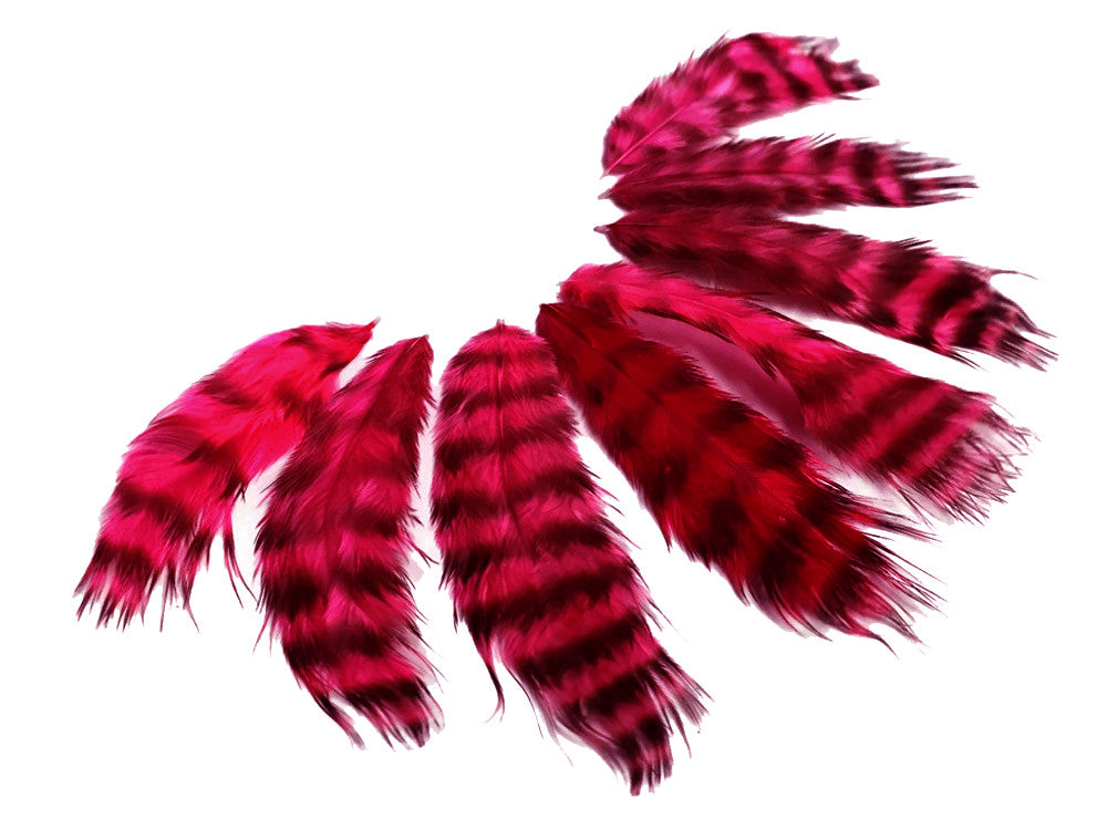 1 Dozen - Claret Grizzly Grizzly Mini Rooster Chickabou Fluff Whiting Hair Feathers