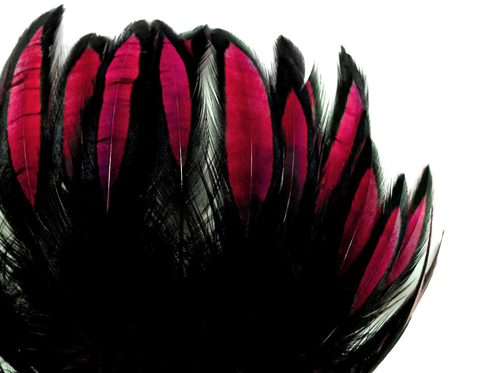 1 Dozen - Claret Whiting Farms BLW Laced Hen Cape Loose Feathers