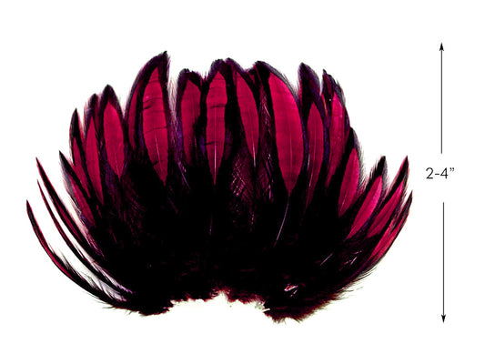 1 Dozen - Claret Whiting Farms BLW Laced Hen Cape Loose Feathers