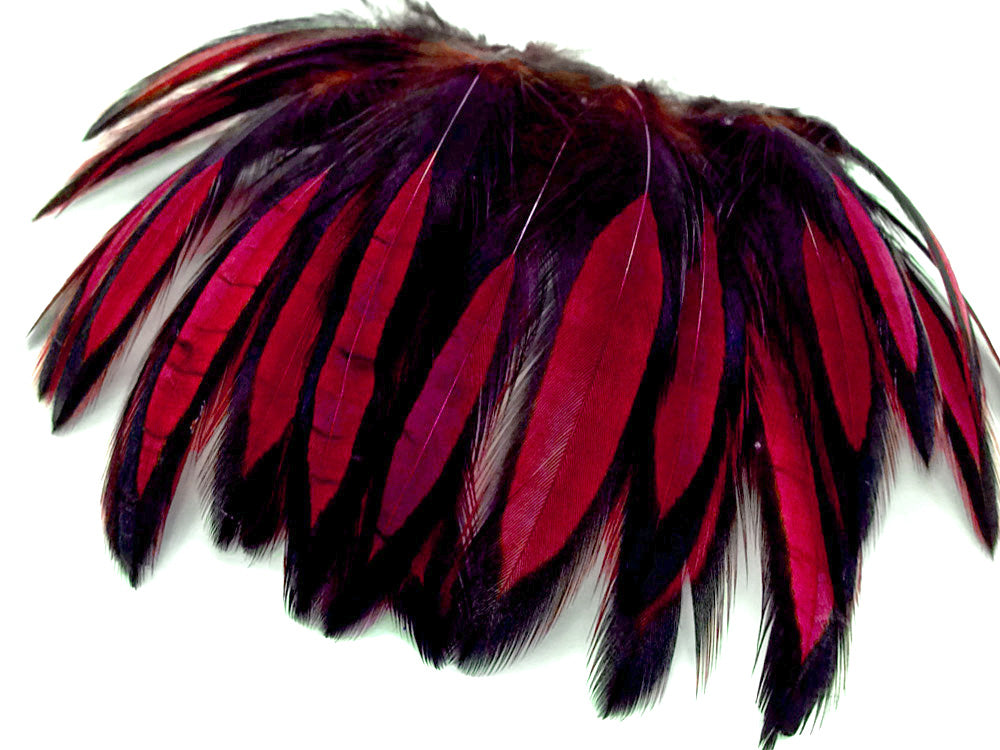 1 Dozen - Claret Whiting Farms BLW Laced Hen Cape Loose Feathers