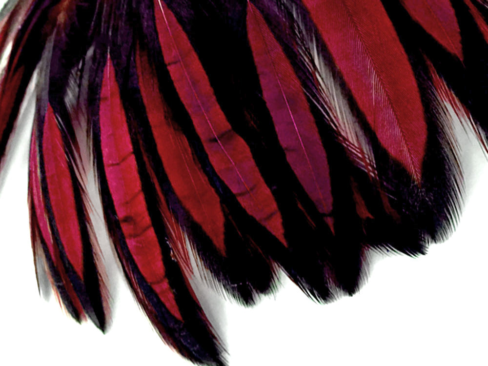 1 Dozen - Claret Whiting Farms BLW Laced Hen Cape Loose Feathers