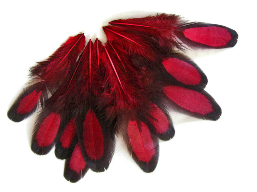 1 Dozen - Claret Whiting Farms Laced Hen Saddle Feathers