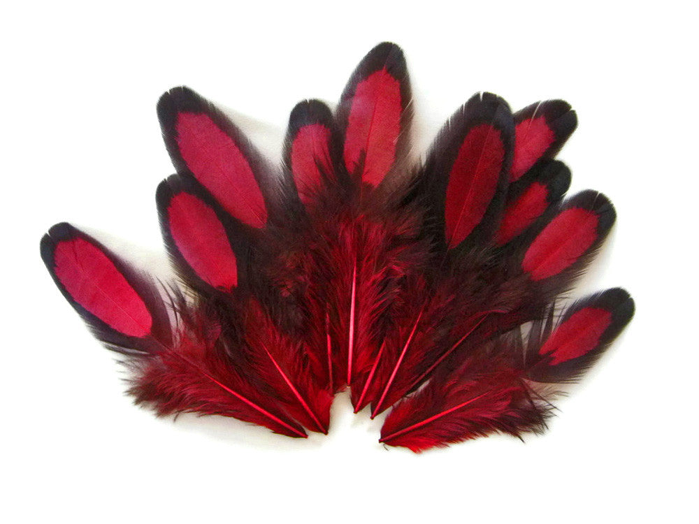 1 Dozen - Claret Whiting Farms Laced Hen Saddle Feathers