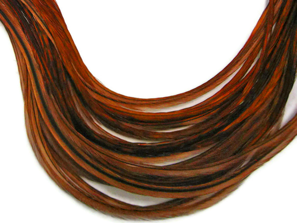 6 Pieces - XL Coachman Brown Thin Whiting Farm Rooster Hair Extension Feathers 11" and Up