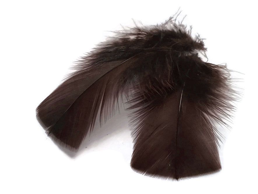 1 Pack - Brown Dyed Turkey T-Base triangle Body Plumage Feathers 0.50 Oz.