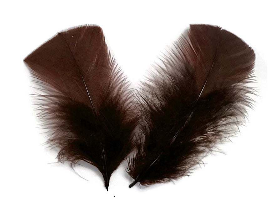 1 Pack - Brown Dyed Turkey T-Base triangle Body Plumage Feathers 0.50 Oz.