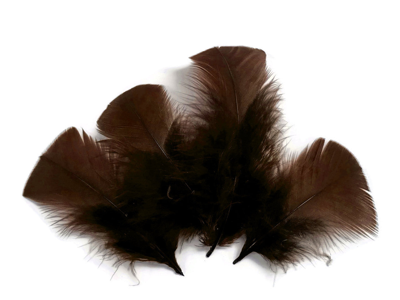 1/4 Lb - Coffee Brown Turkey T-Base Plumage Wholesale Feathers (Bulk)