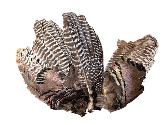 Collection 107 - Mix Random Feather Sample Pack (Bulk)