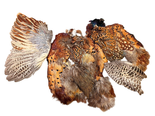 Collection 78 - Mix Random Feather Sample Pack (Bulk)