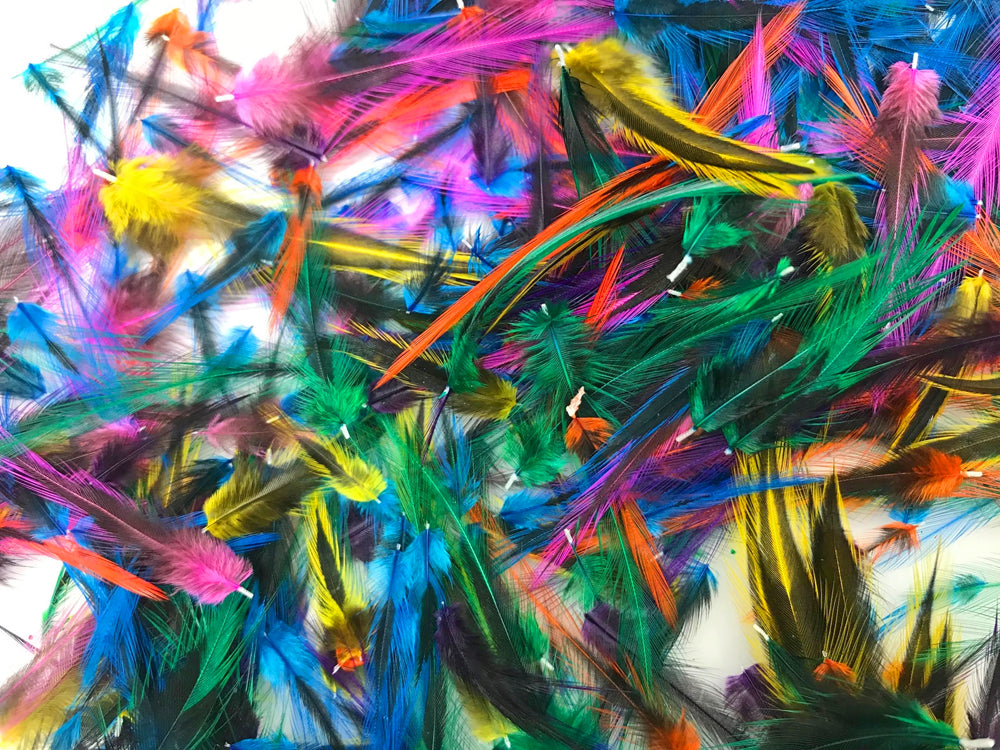 30-50 Pieces - Colorful Mini Laced Hen Cape BLW Whiting Farms Feathers 0.02 oz. Wholesale (bulk)