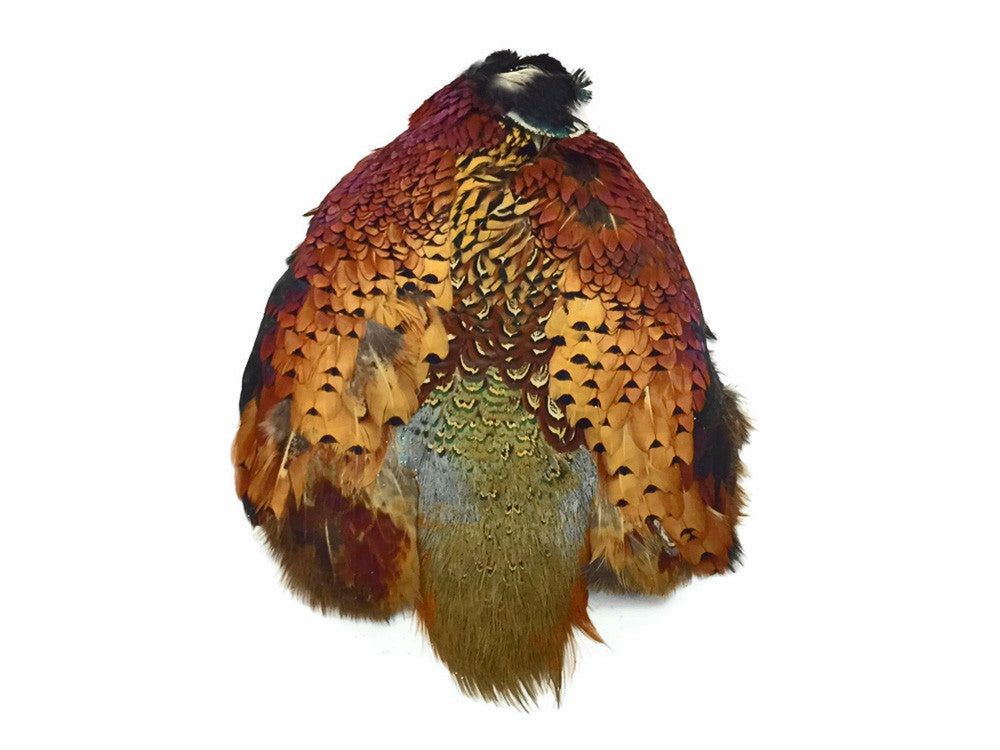 1 Piece - Complete Natural Ringneck Pheasant Skin Pelt Without Wing And Tails