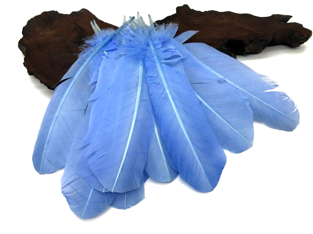 1 Lb. - Copenhagen Blue Turkey Tom Rounds Secondary Wing Quill Wholesale Feathers (Bulk)