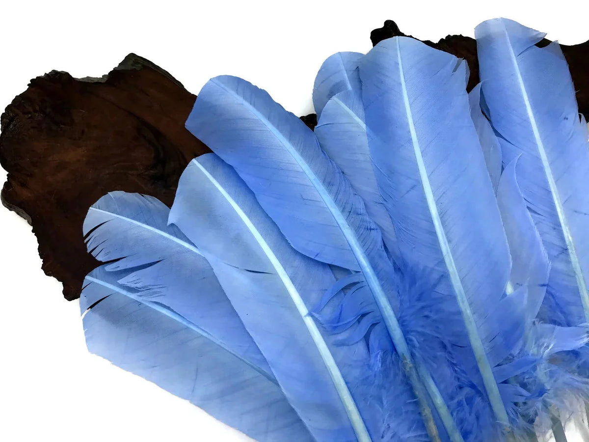Vibrant light blue feathers arranged in a fan shape for DIY crafts and fashion decor.
