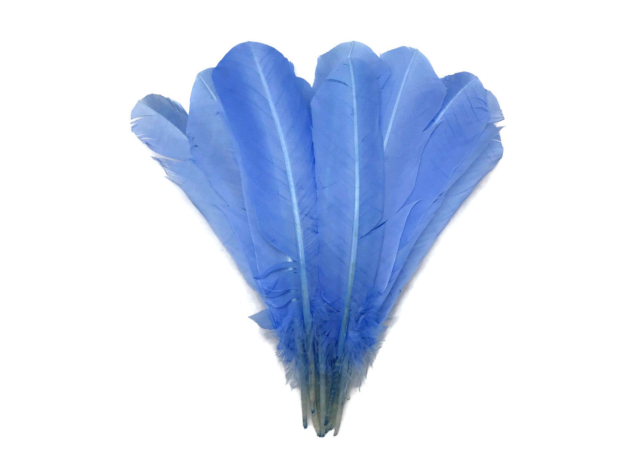 6 Pieces - Copenhagen Blue Turkey Rounds Secondary Wing Quill Feathers