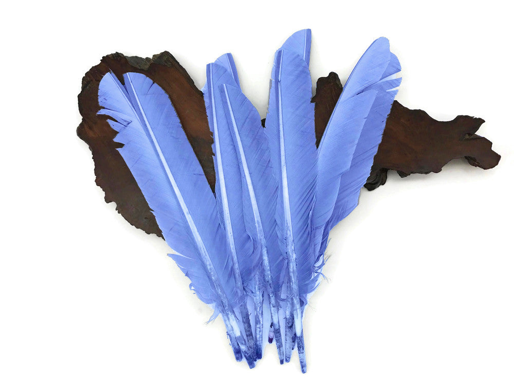 6 Pieces - Copenhagen Blue Turkey Pointers Primary Wing Quill Large Feathers