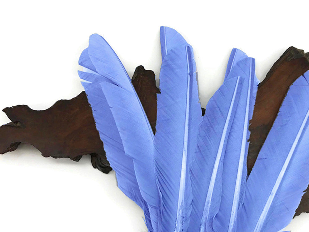 6 Pieces - Copenhagen Blue Turkey Pointers Primary Wing Quill Large Feathers