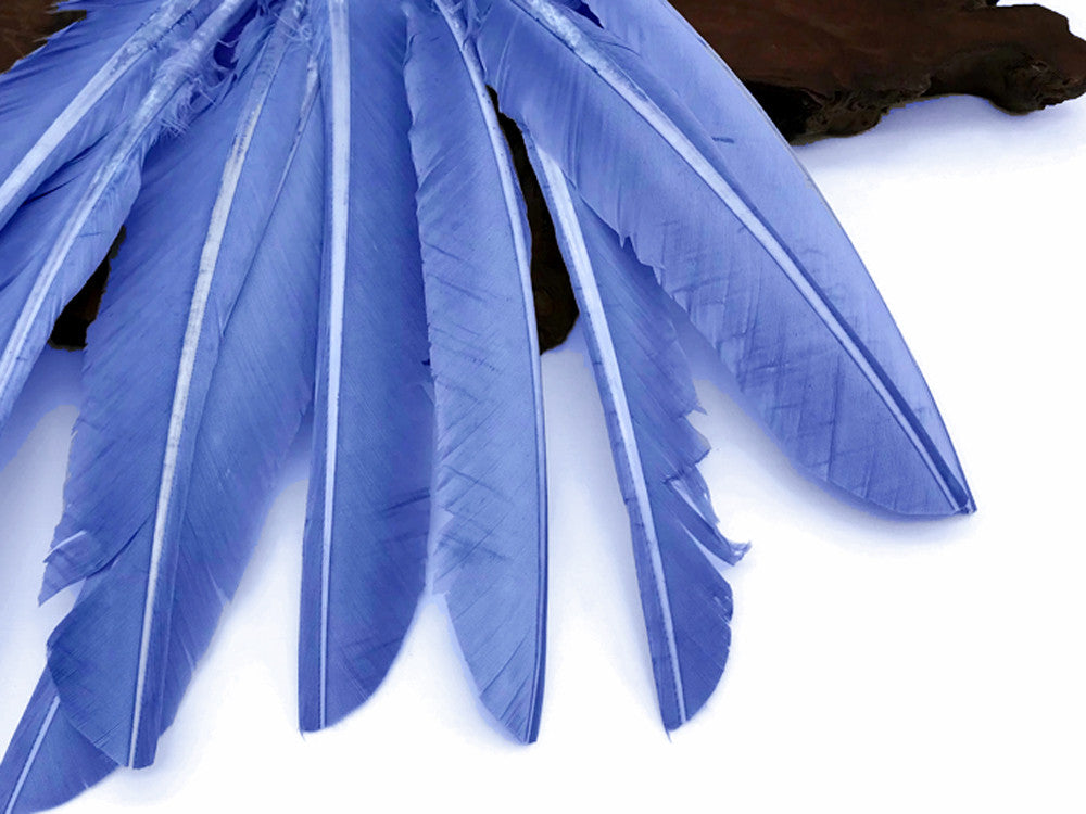 6 Pieces - Copenhagen Blue Turkey Pointers Primary Wing Quill Large Feathers