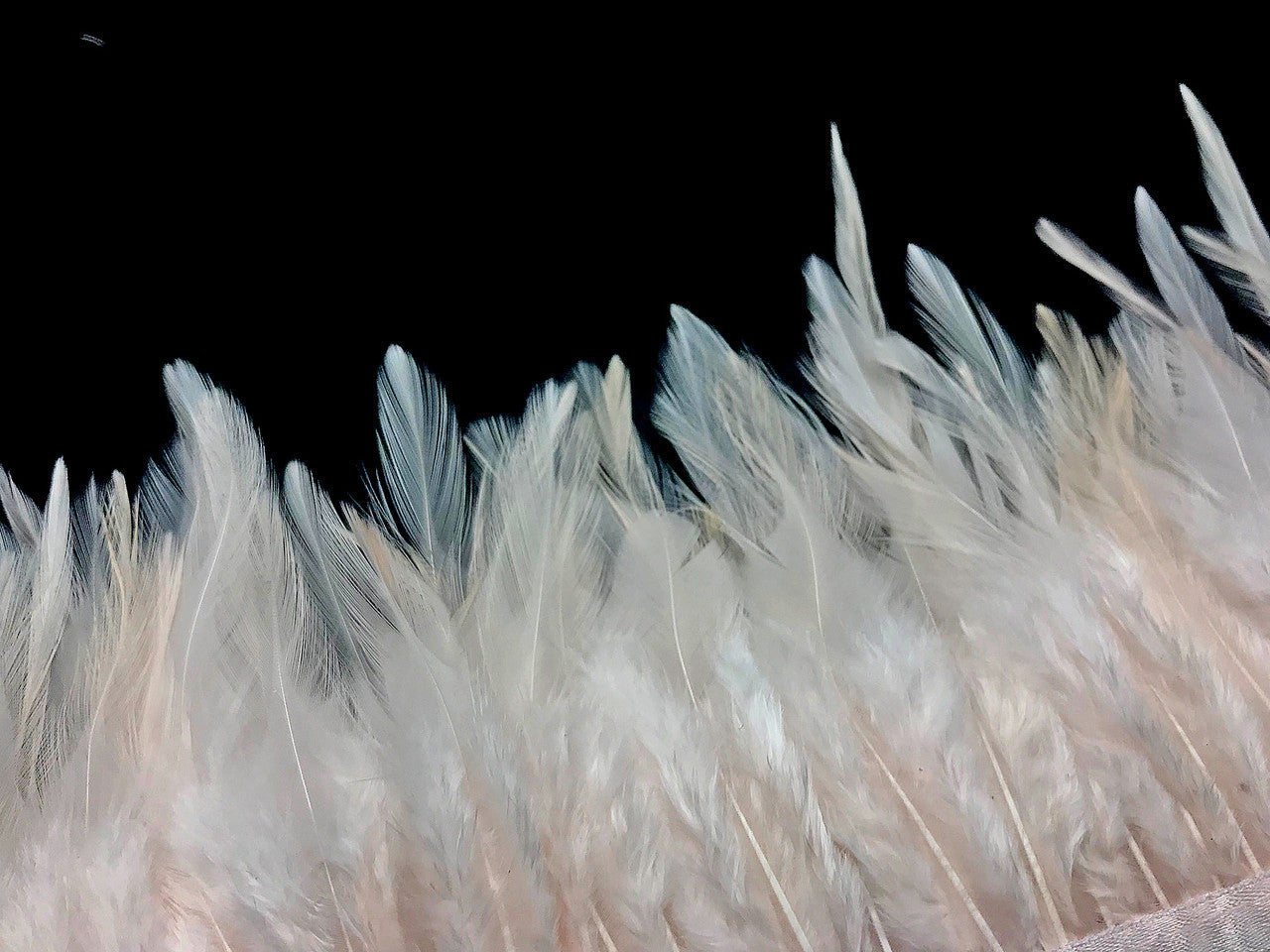 1 Yard - Ivory Rooster Neck Hackle Saddle Feather Wholesale Trim