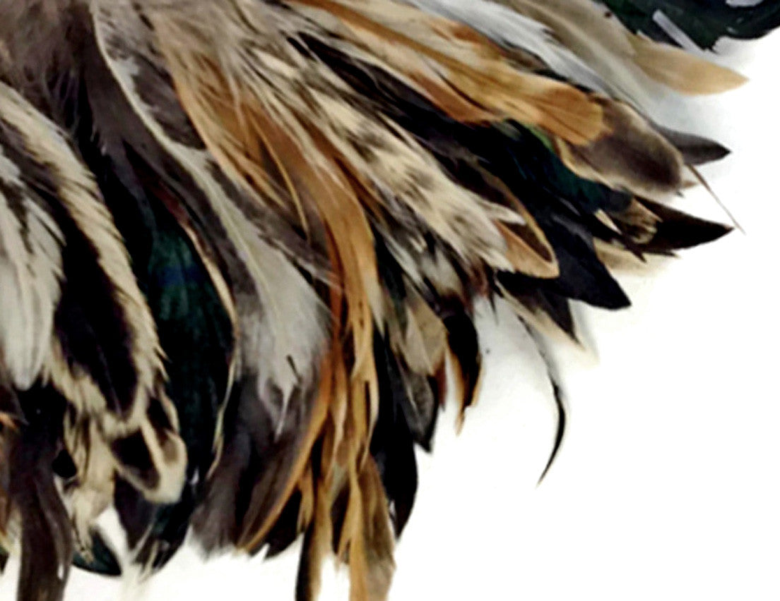 4 Inch Strip - Natural Cream & Black Strung Rooster Schlappen Feathers