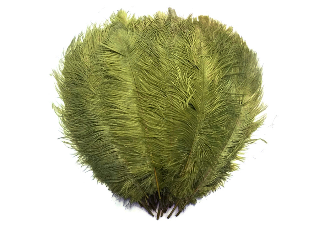 1/2 lb. - 14-17" Olive Green Ostrich Large Body Drab Wholesale Feathers (Bulk)