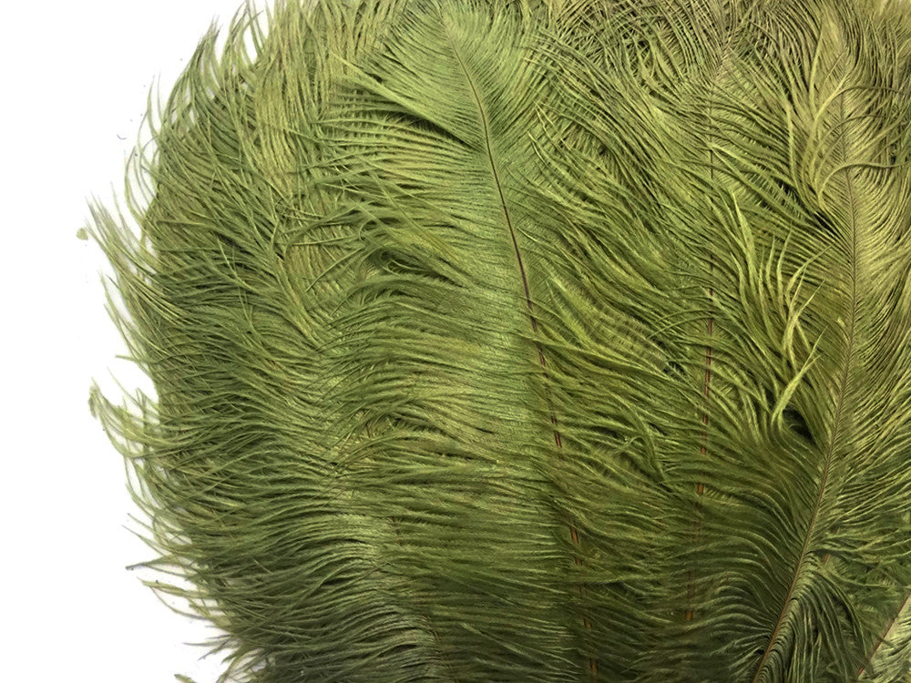 10 Pieces - 14-17"  Olive Green Ostrich Dyed Drab Body Feathers