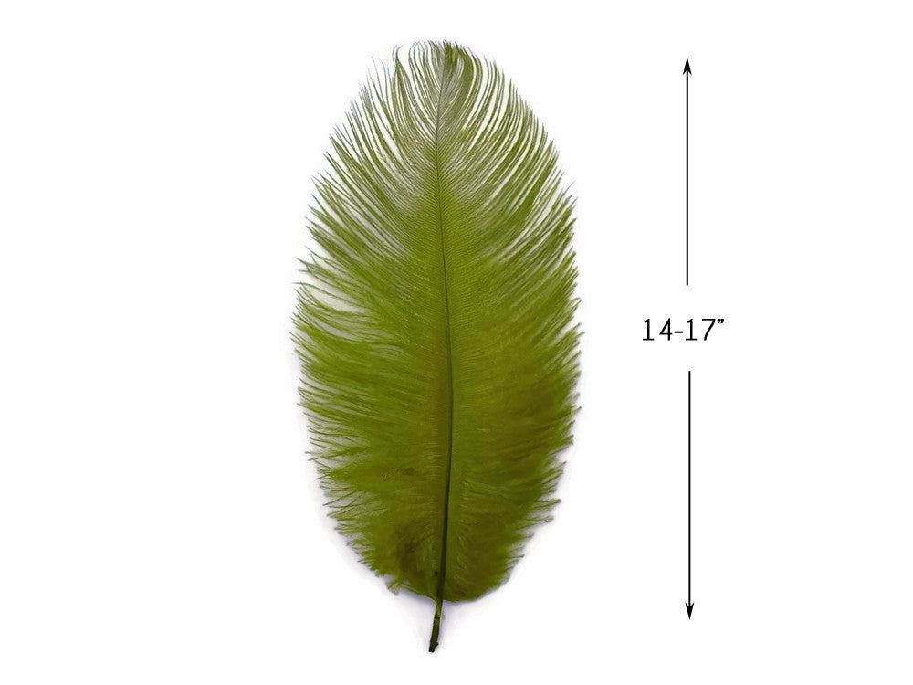 1/2 lb. - 14-17" Olive Green Ostrich Large Body Drab Wholesale Feathers (Bulk)