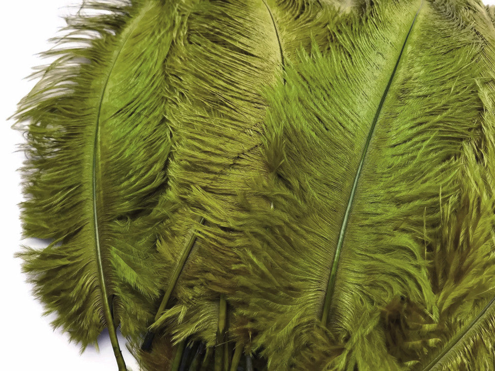 1/2 lb. - 14-17" Olive Green Ostrich Large Body Drab Wholesale Feathers (Bulk)