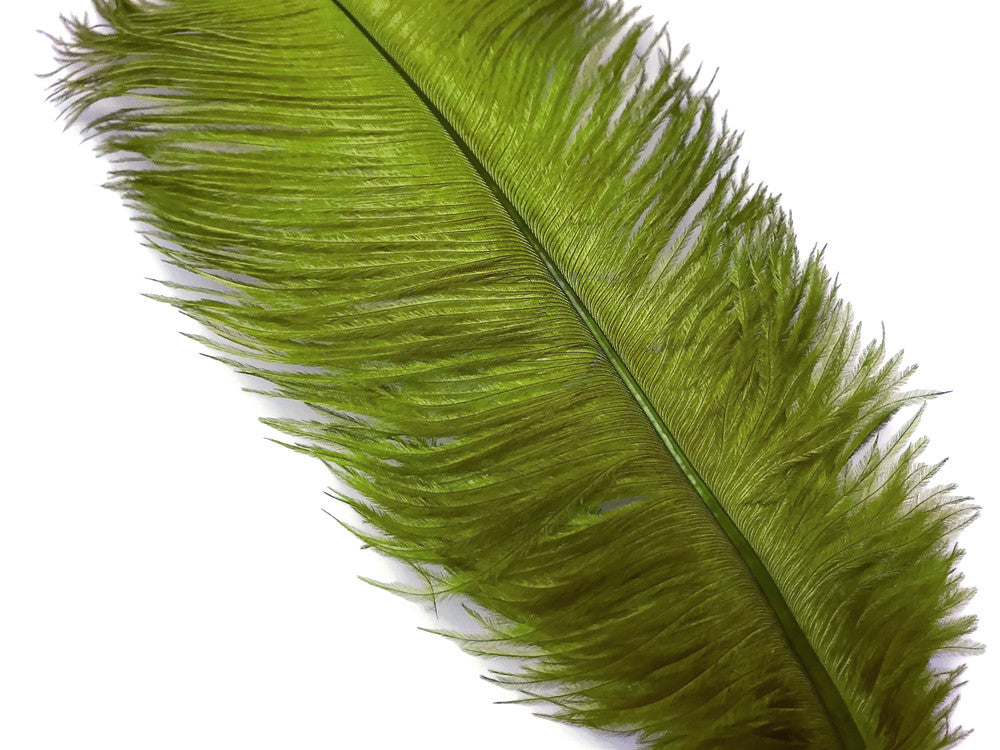 10 Pieces - 14-17"  Olive Green Ostrich Dyed Drab Body Feathers