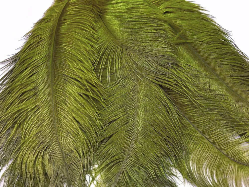 10 Pieces - 14-17"  Olive Green Ostrich Dyed Drab Body Feathers