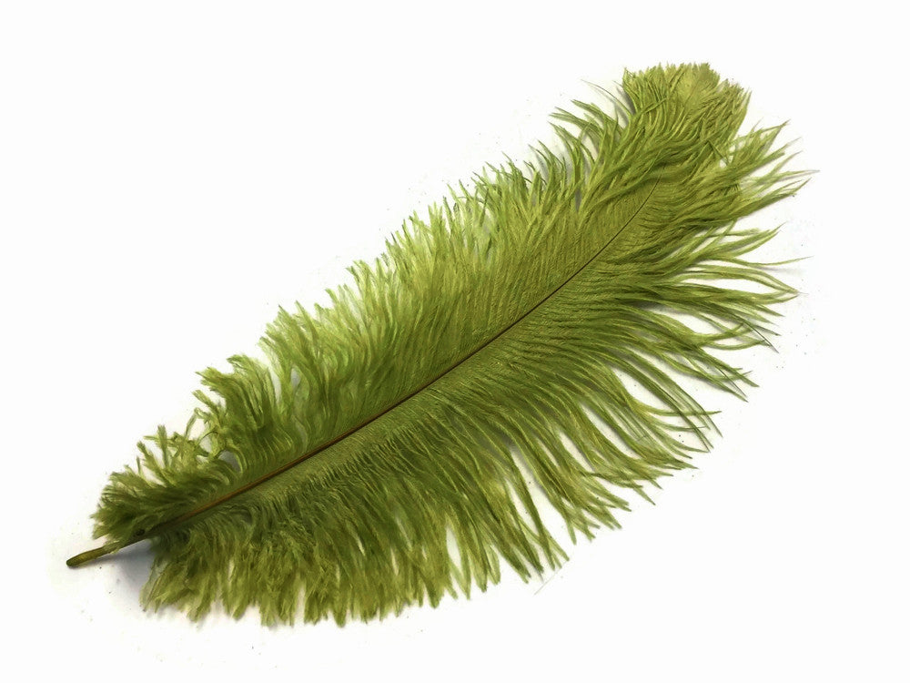 1/2 lb. - 14-17" Olive Green Ostrich Large Body Drab Wholesale Feathers (Bulk)