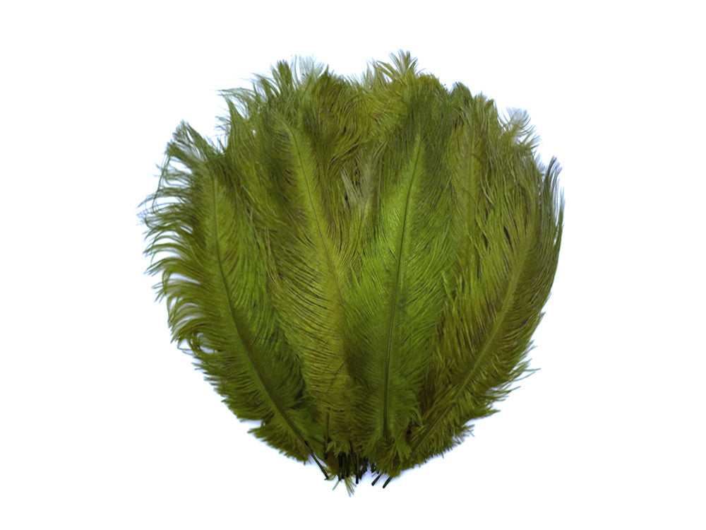 1/2 lb. - 14-17" Olive Green Ostrich Large Body Drab Wholesale Feathers (Bulk)