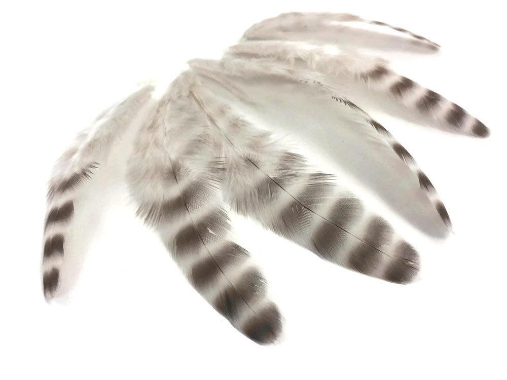 1 Dozen - Bleached Grizzly Hen Loose Feather