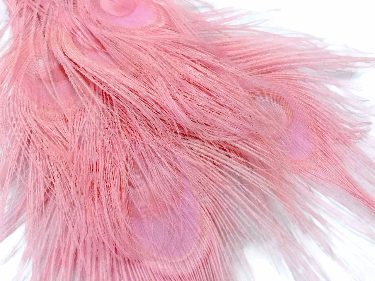 5 Pieces – Dusty Pink Bleached & Dyed Peacock Tail Eye Feathers 10-12” Long 