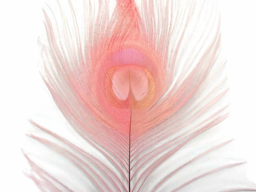 5 Pieces – Dusty Pink Bleached & Dyed Peacock Tail Eye Feathers 10-12” Long 