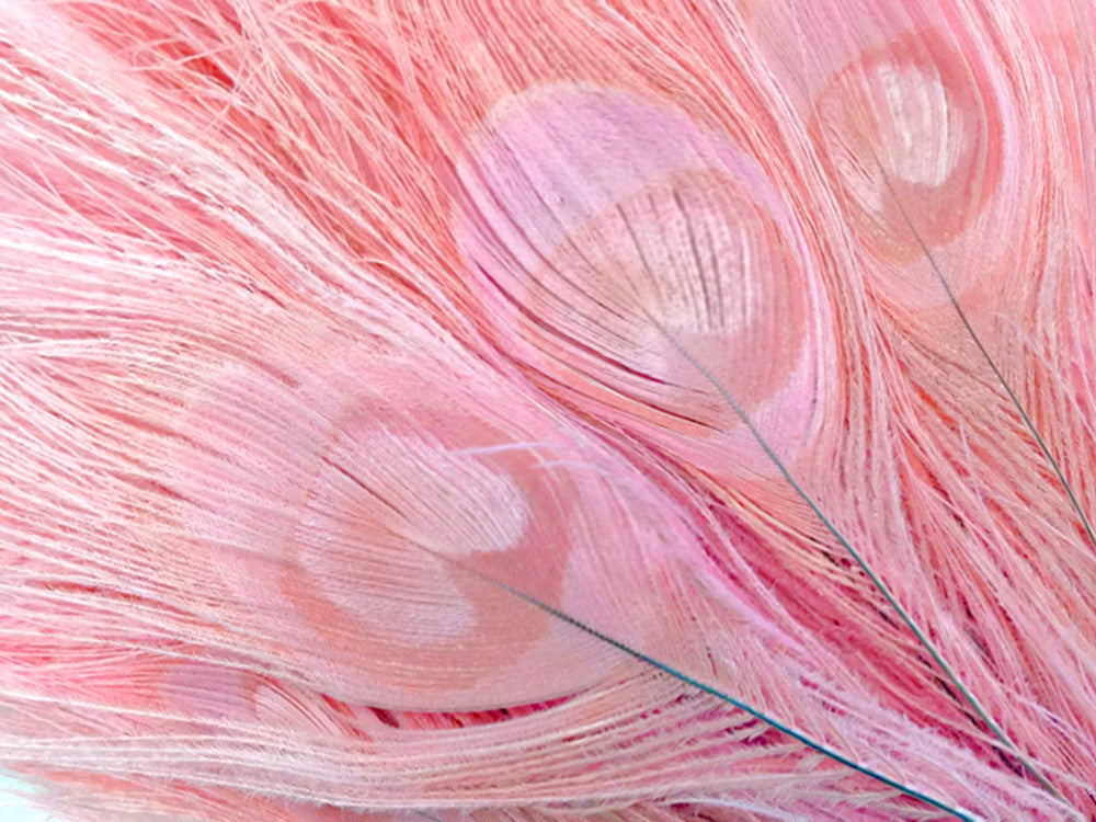 100 Pieces – Dusty Pink Bleached & Dyed Peacock Tail Eye Wholesale Feathers (Bulk) 10-12” Long 