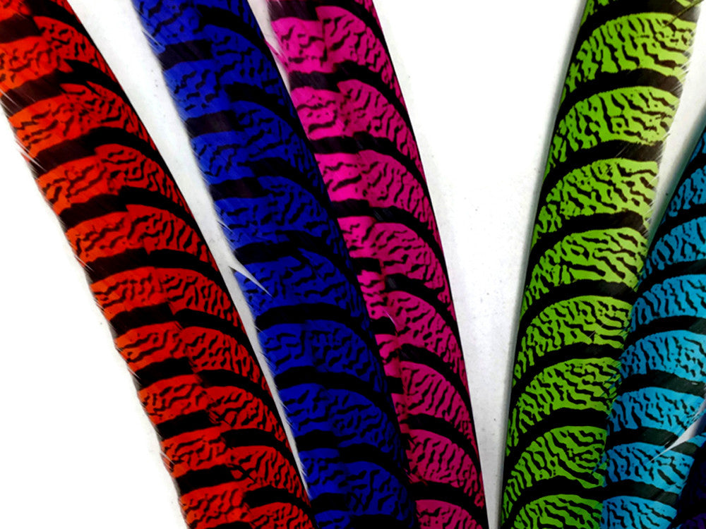 5 Pieces - 30-35" Hot Pink Zebra Lady Amherst Pheasant Tail Super Long Feathers