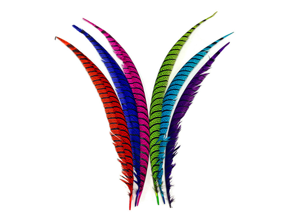 5 Pieces - 30-35" Hot Pink Zebra Lady Amherst Pheasant Tail Super Long Feathers