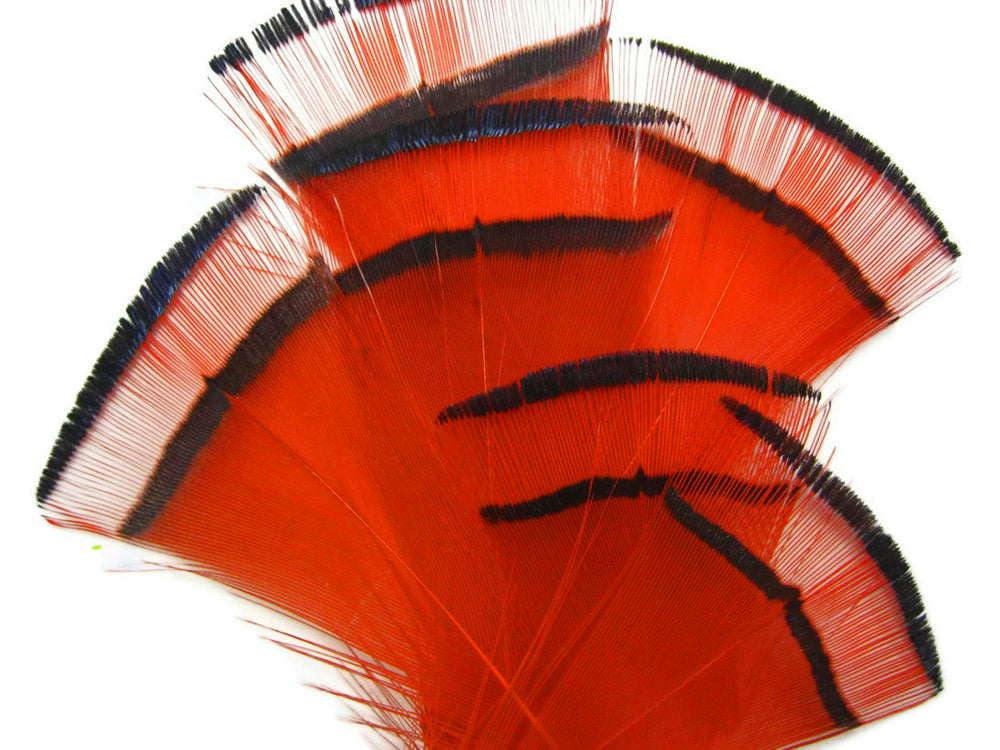 1 Dozen - Orange Dyed Golden Pheasant Tippet Neck Plumage Feather