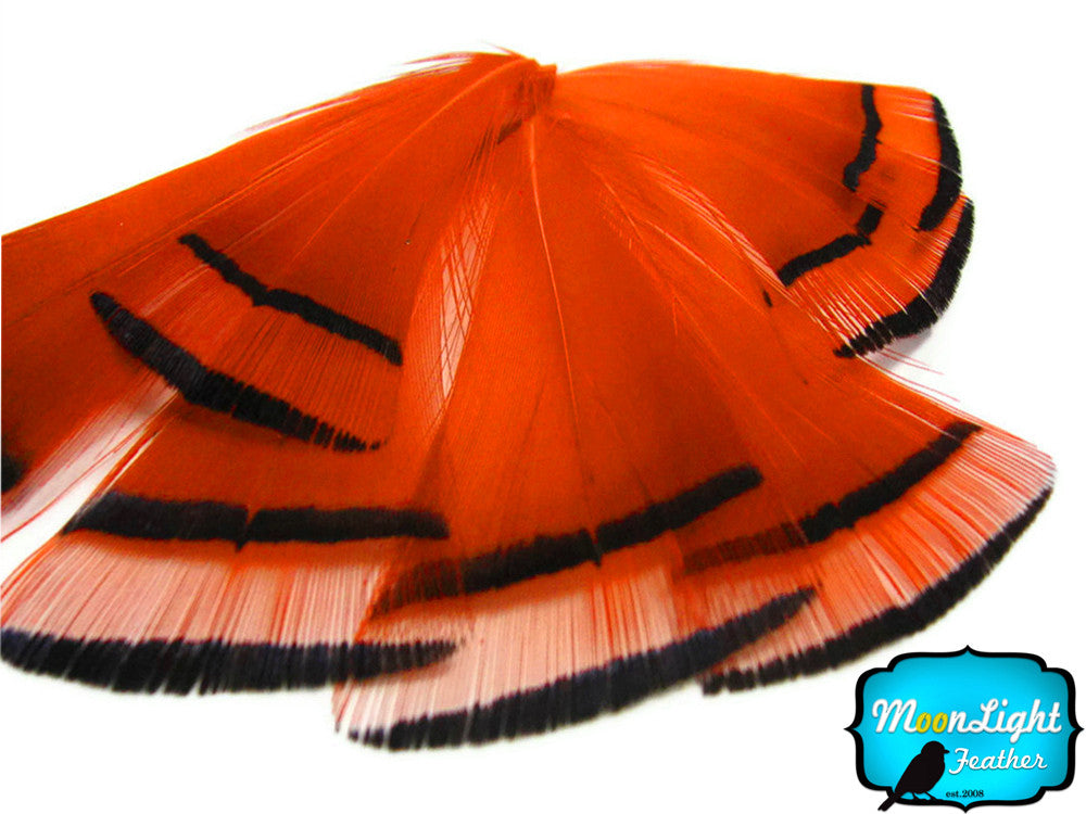 1 Dozen - Orange Golden Pheasant Tippet Feather